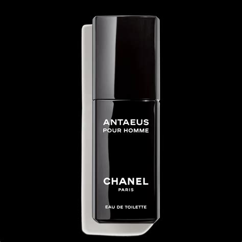 antaeus chanel eau de toilette 100ml|antaeus aftershave 100ml best price.